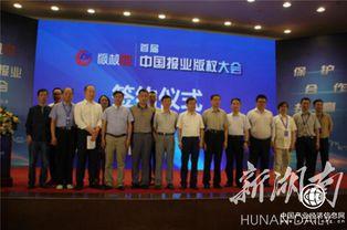 国产原创传媒有哪些