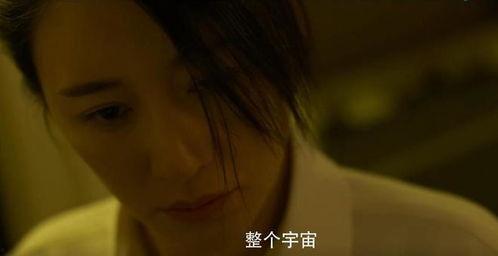 国产门视频,匠心独运，展现中国制造风采